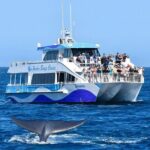 Guided Whale Watching Tour from Long Beach - Who Should Consider This Tour?