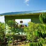 Hala Tree Coffee Farm Tour - Who Will Love This Experience?