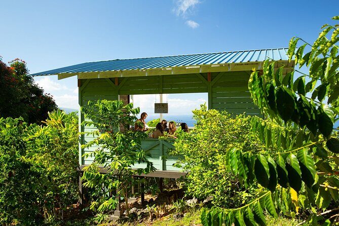 Hala Tree Coffee Farm Tour - Who Will Love This Experience?