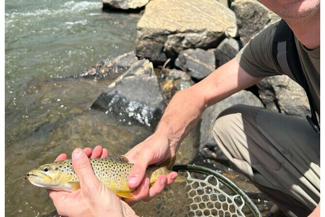 Half Day Fly Fishing Lesson on Clear Creek near Denver - Why This Tour Is Worth Considering
