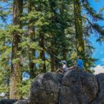 Half Day Tour to Faery Waterfalls, Castle Lake and Mount Shasta - Practical Details and What to Expect