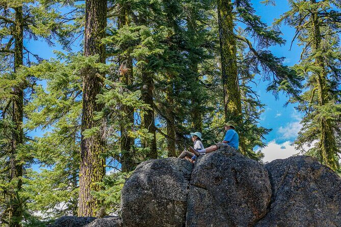 Half Day Tour to Faery Waterfalls, Castle Lake and Mount Shasta - Practical Details and What to Expect