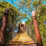 Half Day tour Zipline + Rappel + Cenote from Riviera Maya hotels - An In-Depth Look at the Tour Experience