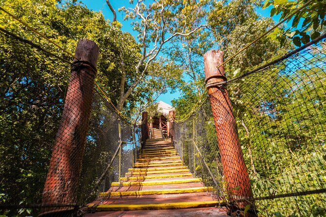 Half Day tour Zipline + Rappel + Cenote from Riviera Maya hotels - An In-Depth Look at the Tour Experience