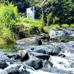 Halfway to Hana Private Tour Maui BlackBeach Waterfalls Turtles - Price and Value: Is It Worth It?