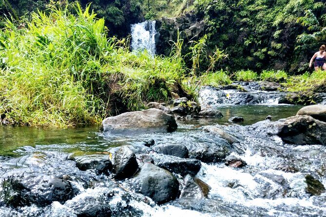 Halfway to Hana Private Tour Maui BlackBeach Waterfalls Turtles - Price and Value: Is It Worth It?