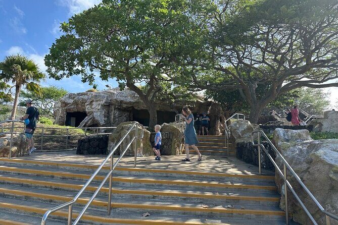 Hanauma Bay Snorkel Lesson - The Itinerary: What to Expect from Start to Finish
