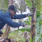Hawaiian Rainforest Banana Cultivation Experience - Why This Tour Delivers Value