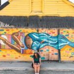 Holbox and Passion Island Full-Day Tour with Cenote, Transportation and Lunch - Transportation and Logistics