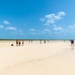 Holbox Island Tour with Pasion Island and Punta Mosquito - Transportation & Group Experience