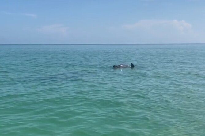 Holbox: Islas Pajaros, Yalahau & Isla de la Pasión with pick up - What to Expect: Practical Details