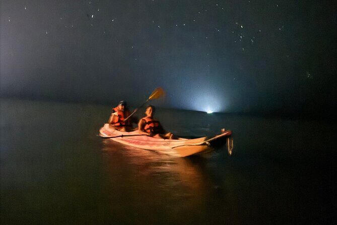 Holbox Kayak Bioluminescence Experience - Who Should Consider This Tour?