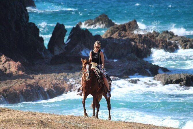 Horse Back Ridding Tour on the Pacific Ocean & Desert - Practical Considerations and Tips