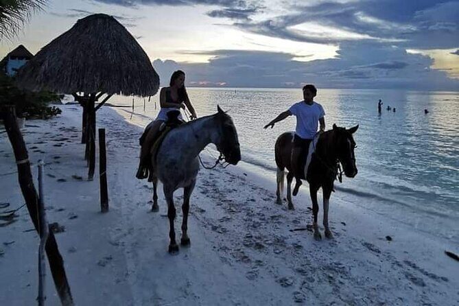 Horseback Riding on the Beaches of Holbox - What Reviewers Loved Most