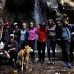 Immerse in the Nature: Deep Connection through Forest Bathing - An In-Depth Look at the Forest Bathing Tour