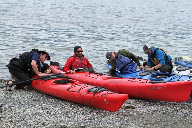 Inside Passage Sea Kayaking in Haines - Who Will Love This Experience