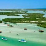Isla Columpios and Progreso Day Trip - Authentic Experiences and Real Insights from Reviews