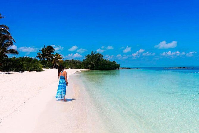 Isla Contoy Adventure Tour & Isla Mujeres from Playa del Carmen - What Reviewers Love (and What They Mentioned Less Favorably)