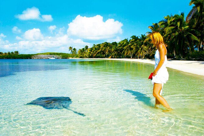 Isla Contoy and Isla Mujeres with All Inclusive Snorkeling - The Experience in Context