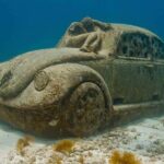 Isla Mujeres: Albatross Plus All Inclusive Tour - The Sum Up: Is It Worth It?