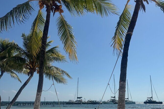 Isla Mujeres Plus Tour with Snorkeling Buffet and Open Bar - The Sailing & Sunset Cruise: A Perfect End