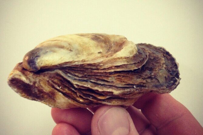 Island Tour with Oyster Tasting & Merroir Experience P.E.I. - Who Will Love This Tour?