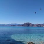 Islands of Loreto PRIVATE TOUR (Danzante y Sur de Carmen) - Is This Tour Worth It?