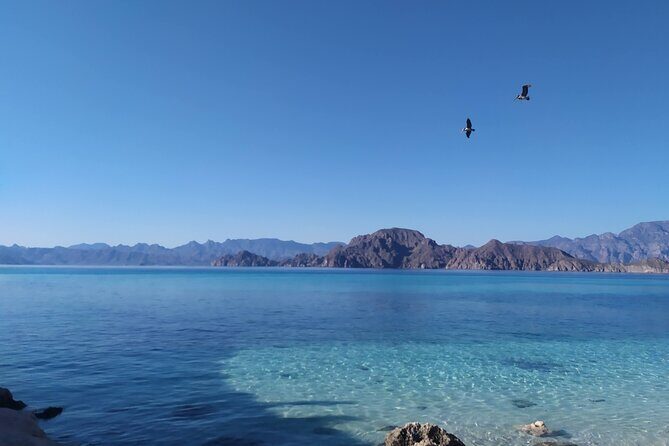 Islands of Loreto PRIVATE TOUR (Danzante y Sur de Carmen) - Is This Tour Worth It?
