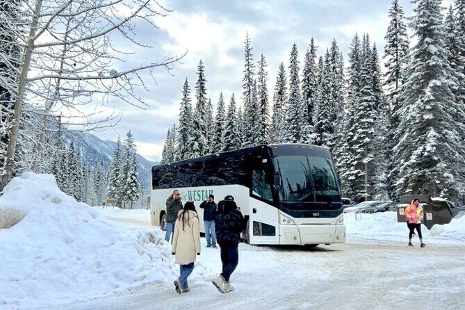 Johnston & Marble Canyon Explorer, Banff's Nature Day Tour - Authentic Insights from Reviewers