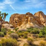 Joshua Tree's Hidden Valley Self-Guided Walking Tour - Why This Tour Offers Great Value