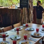 Jungle Tour Puerto Maya in Cancun - What’s Included and What’s Not