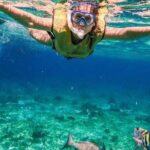 Kaan Luum Lagoon and Cenote Snorkel Tour in Tulum - What’s Included and What’s Not