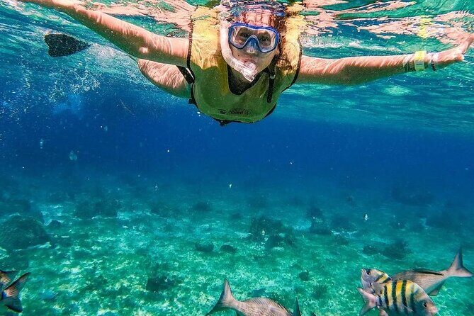 Kaan Luum Lagoon and Cenote Snorkel Tour in Tulum - What’s Included and What’s Not