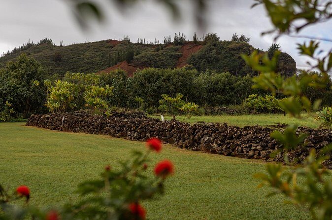 Kauai East Side SHARED Adventute - Who Will Love This Tour?