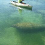 Kayak Eco Tour in Don Pedro Island - Is It Worth the Price?