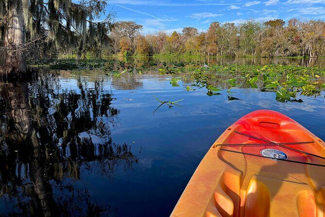 Kayak Rental (2hr) - Blue Spring State Park - The Sum Up: Is This Kayaking Tour Worth It?