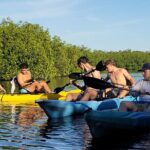 Kayak through Mangrove Forests in the Florida Keys - Analyzing the Experience: What to Expect
