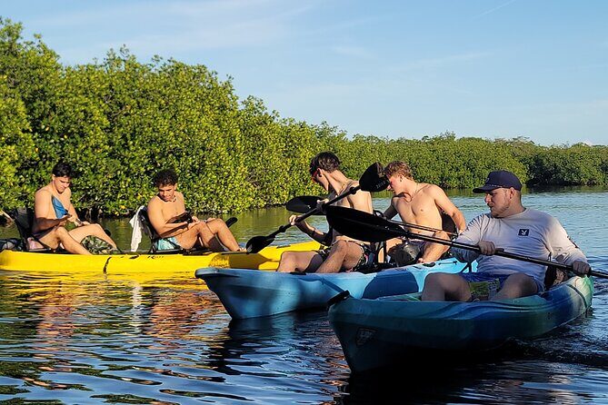 Kayak through Mangrove Forests in the Florida Keys - Analyzing the Experience: What to Expect