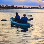 Kayak Tours and Rentals. Dolphins, Manatees, and Bioluminescence! - Exploring the Tour: What You Can Expect