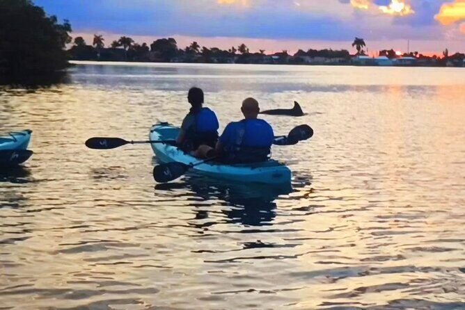 Kayak Tours and Rentals. Dolphins, Manatees, and Bioluminescence! - Exploring the Tour: What You Can Expect
