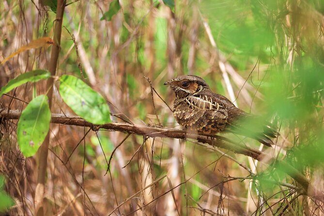 Kayaking Adventure at the Nichupte Lagoon in Cancun - Analyzing the Value and Overall Impression
