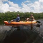 Kayaking in the Mangroves Experience - Final thoughts