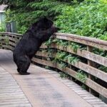 Ketchikan Alaska private tour - Who Should Book This Tour?