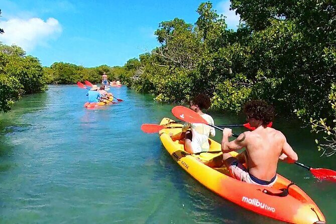Key West Hidden Sanctuary Mangrove Kayak Tour With Drinks - Why This Tour Is Worth It
