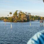 Kings Bay Crystal River Eco Cruise - In-Depth: The Experience & Its Unique Qualities