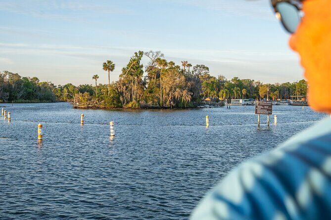 Kings Bay Crystal River Eco Cruise - In-Depth: The Experience & Its Unique Qualities