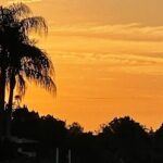 King's Bay Sunset Cruise - Who Should Consider This Tour?