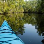 Kitty Hawk Maritime Forest Kayak Tour - Practical Details and What to Expect