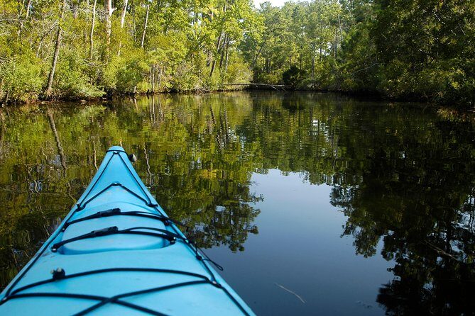 Kitty Hawk Maritime Forest Kayak Tour - Practical Details and What to Expect