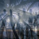 Kona Haunted Hele Ghost Tour - What to Expect from the Experience